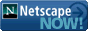 Best Viewed in Netscape